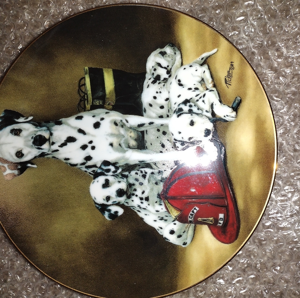 Princeton gallery collector plates